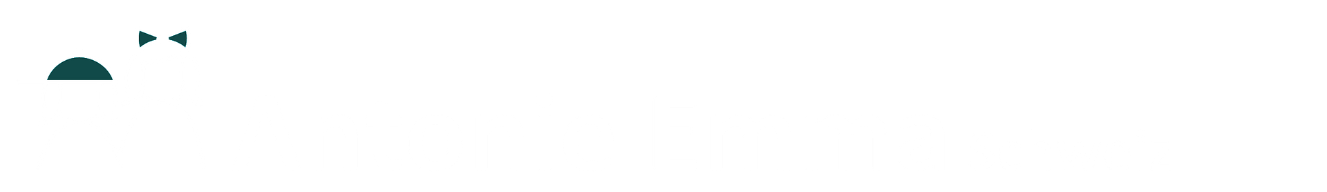 aeLogoCH_logo_webseite_sticky_light aeLogoCH_logo_webseite_sticky_light